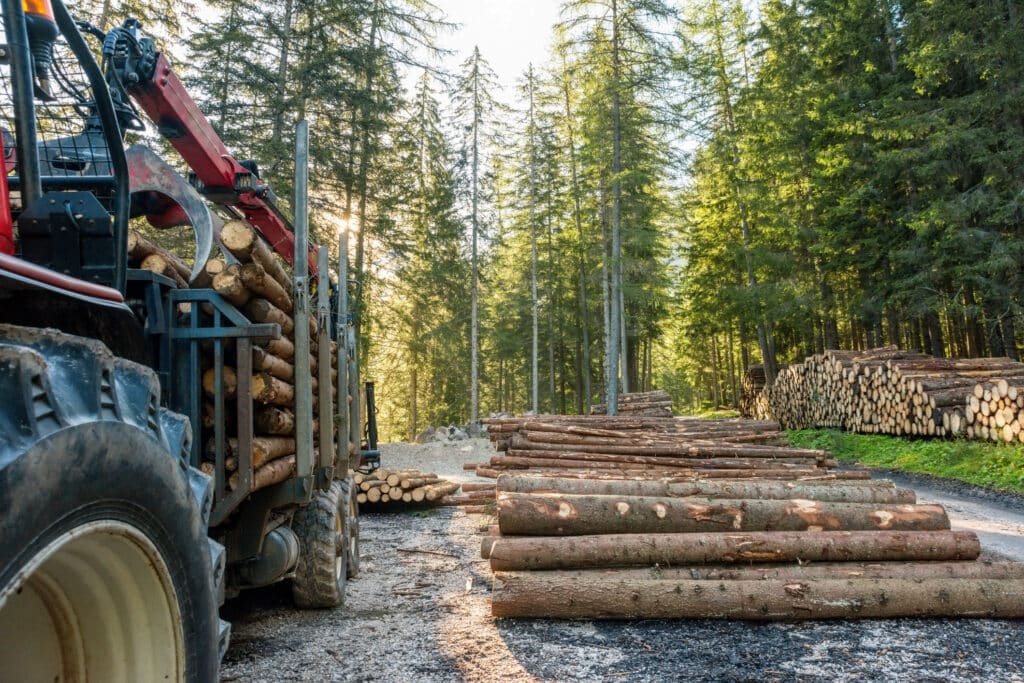 Az erdőirtás megfékezésére fogadott el javaslatot az Európai Parlament