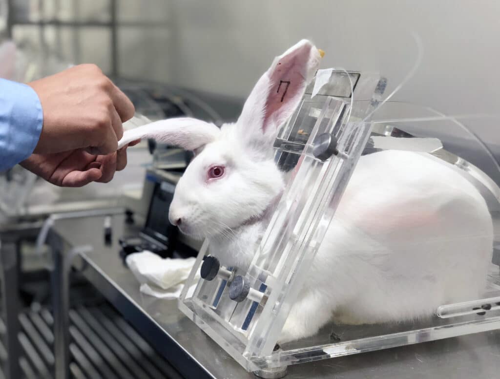 25 év után újra lehet kozmetikai állatkísérleteket végezni az Egyesült Királyságban