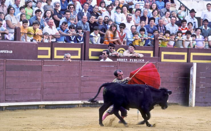 Betiltották Spanyolországban a törpenövésűek bikavívását
