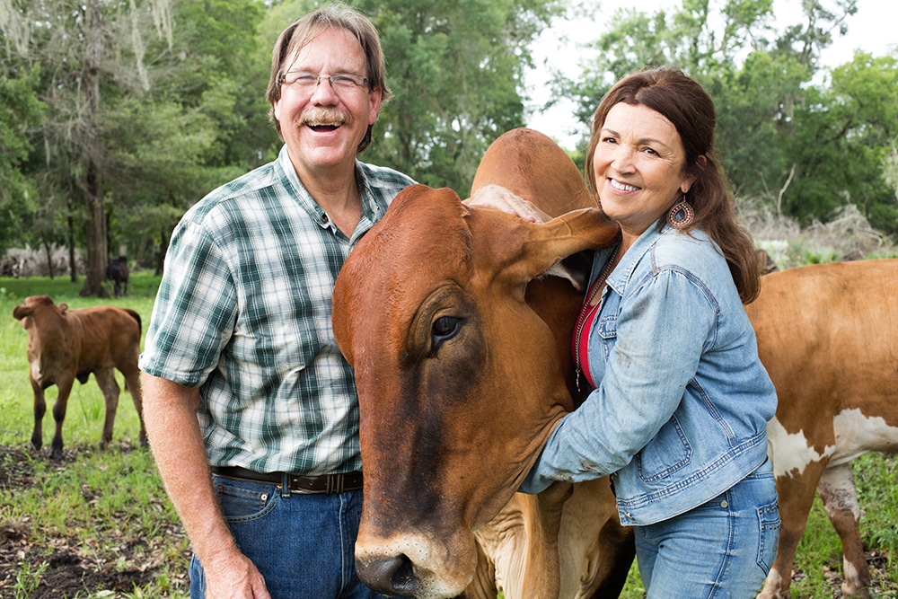 Állatmenhellyé alakult egy texasi tehenészet – így élnek ma az állatok