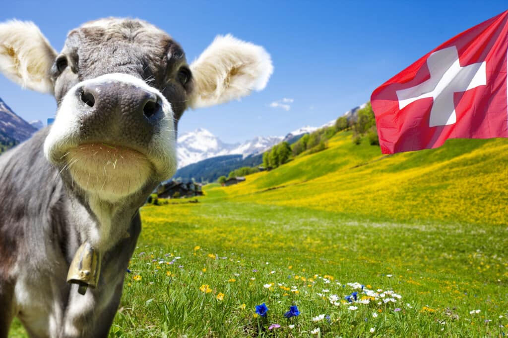 Egy állatjogi szervezet elképzelte a teljesen vegán Svájcot