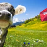 Egy állatjogi szervezet elképzelte a teljesen vegán Svájcot