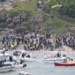 Egy óceánjáró utasai kénytelenek voltak végignézni több tucat bálna lemészárlását