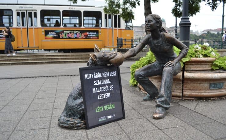 Budapesti szobrokon helyeztek el üzeneteket magyar állatjogi aktivisták