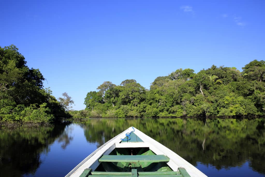 Drasztikusan visszaesett az amazonasi erdőirtás mértéke