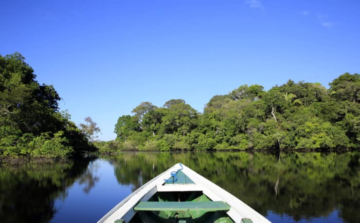 Drasztikusan visszaesett az amazonasi erdőirtás mértéke