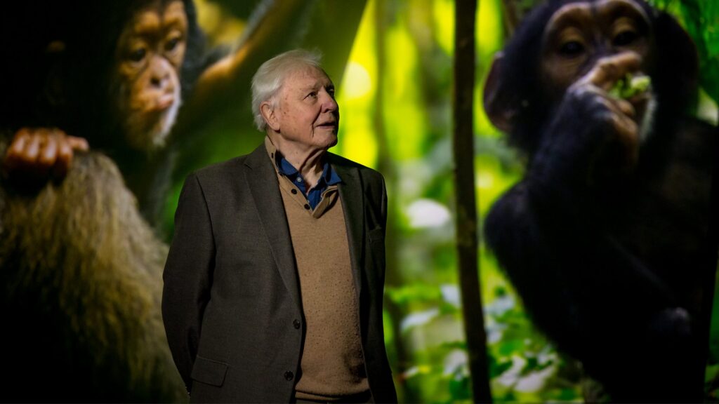 David Attenborough szerint önző módon terjeszkedünk a bolygón