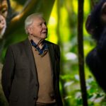 David Attenborough szerint önző módon terjeszkedünk a bolygón