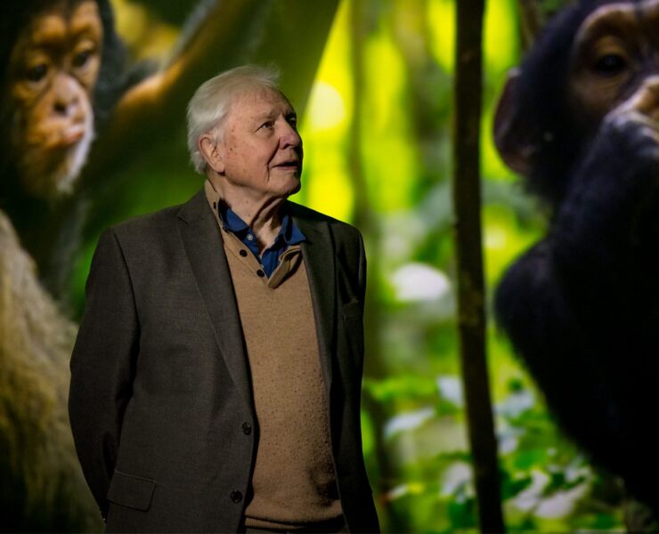 David Attenborough szerint úgy terjeszkedünk mint ha csak mi lennénk a Bolygón