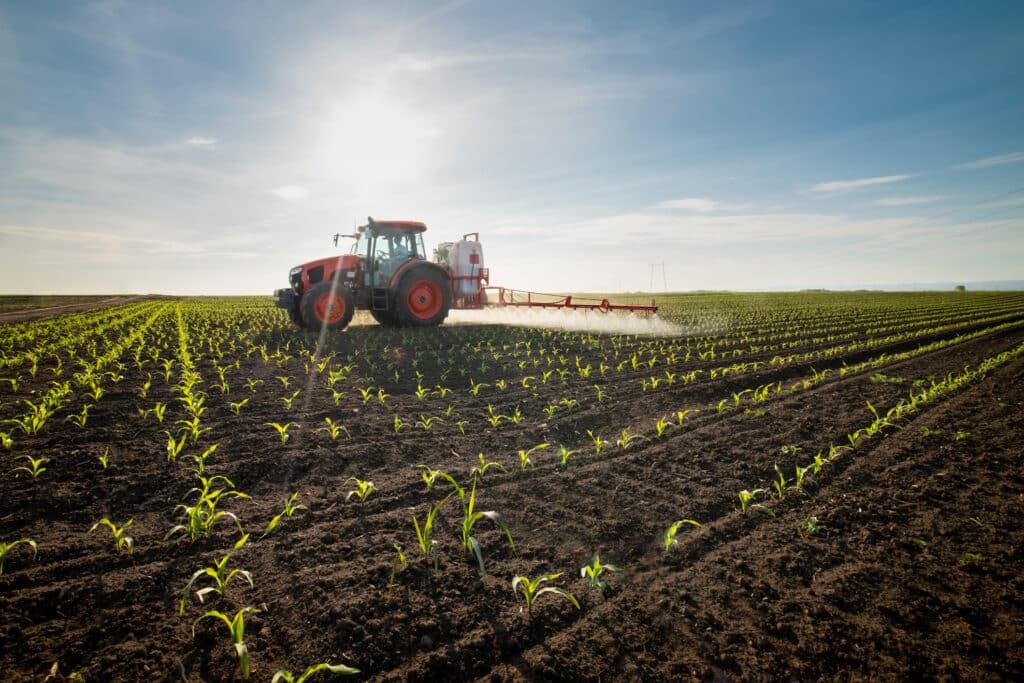 Élen jár az élelmezési rendszer növényi reformja Dániában, Magyarország nem tervez hasonló lépéseket