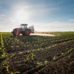 Élen jár az élelmezési rendszer növényi reformja Dániában, Magyarország nem tervez hasonló lépéseket