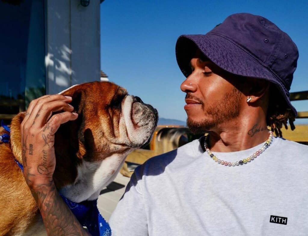 Lewis Hamilton vegán születésnapi bulit rendezett kutyájának
