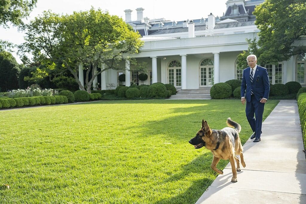 Száműzték Joe Biden kutyáját a Fehér Házból