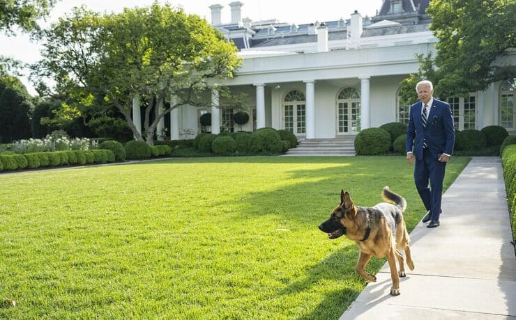 Száműzték Joe Biden kutyáját a Fehér Házból