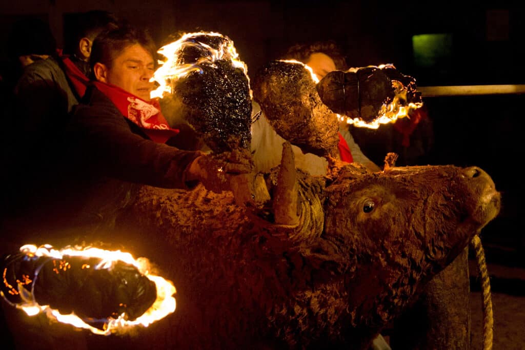 Megrázó felvételek égő bikákról, az idei Toro Jubilo fesztiválról