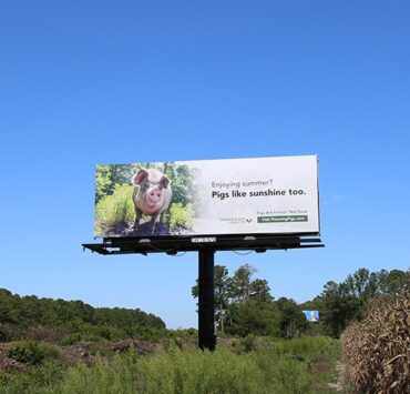 különleges reklámkampány a húsipar ellen