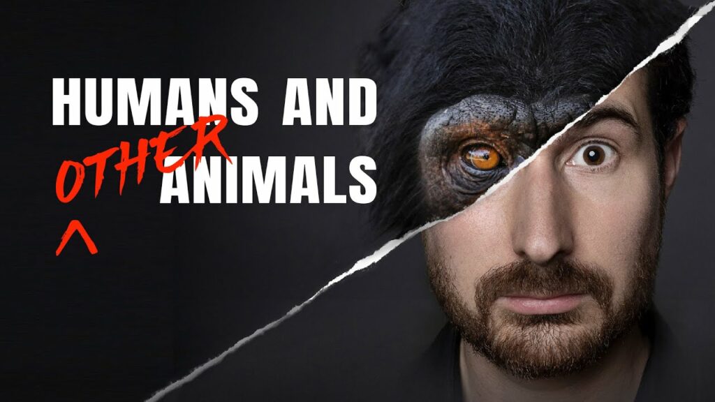 Hamarosan új vegán dokumentumfilm érkezik Humans and Other Animals címmel