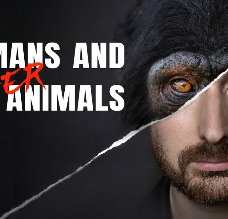 Humans and Other Animals dokumentumfilm
