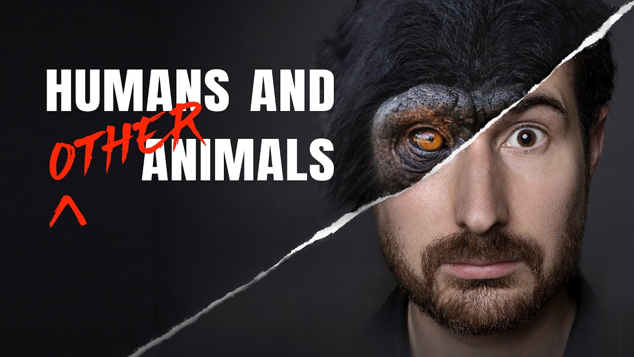 Humans and Other Animals dokumentumfilm