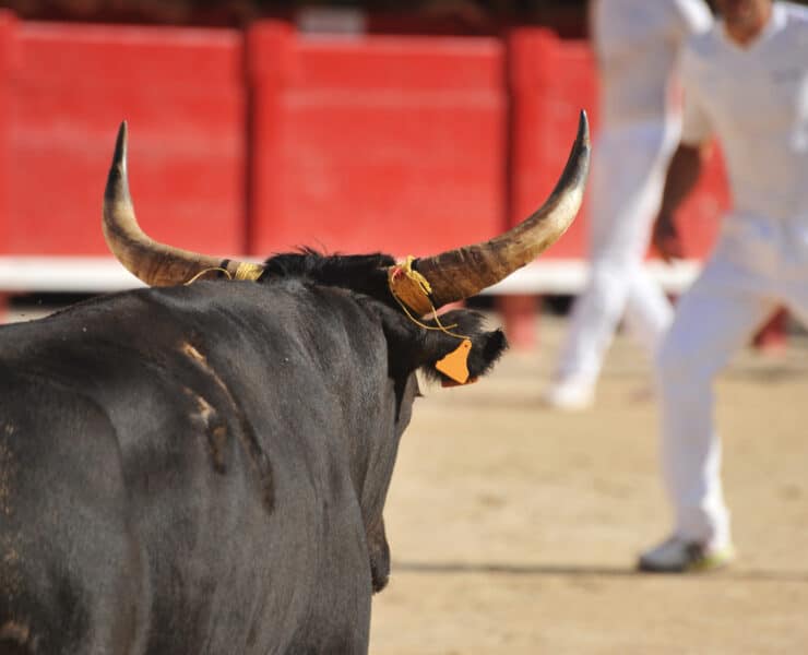 Mexikóvárosban feloldották a bikaviadalokra vonatkozó tiltást