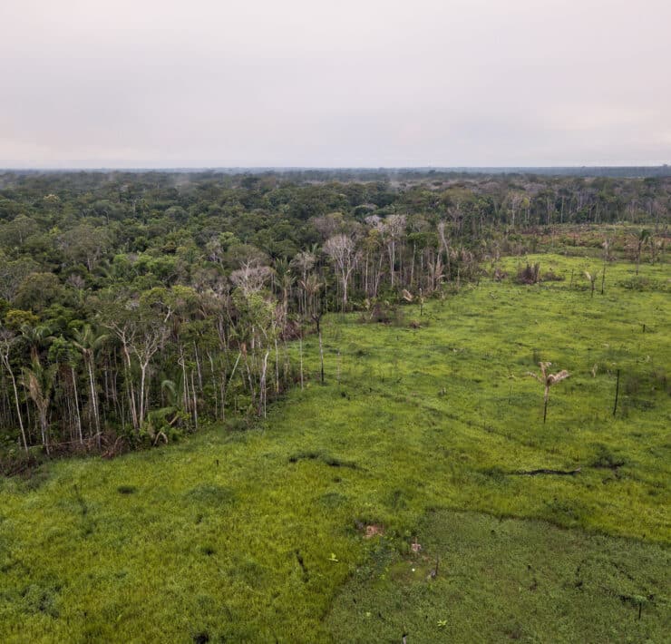 Amazóniai esőerdő pusztulása