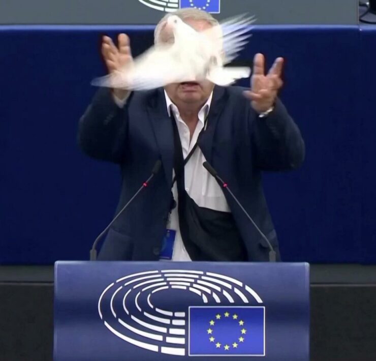 Galambot engedtek el az Európai Parlamentben