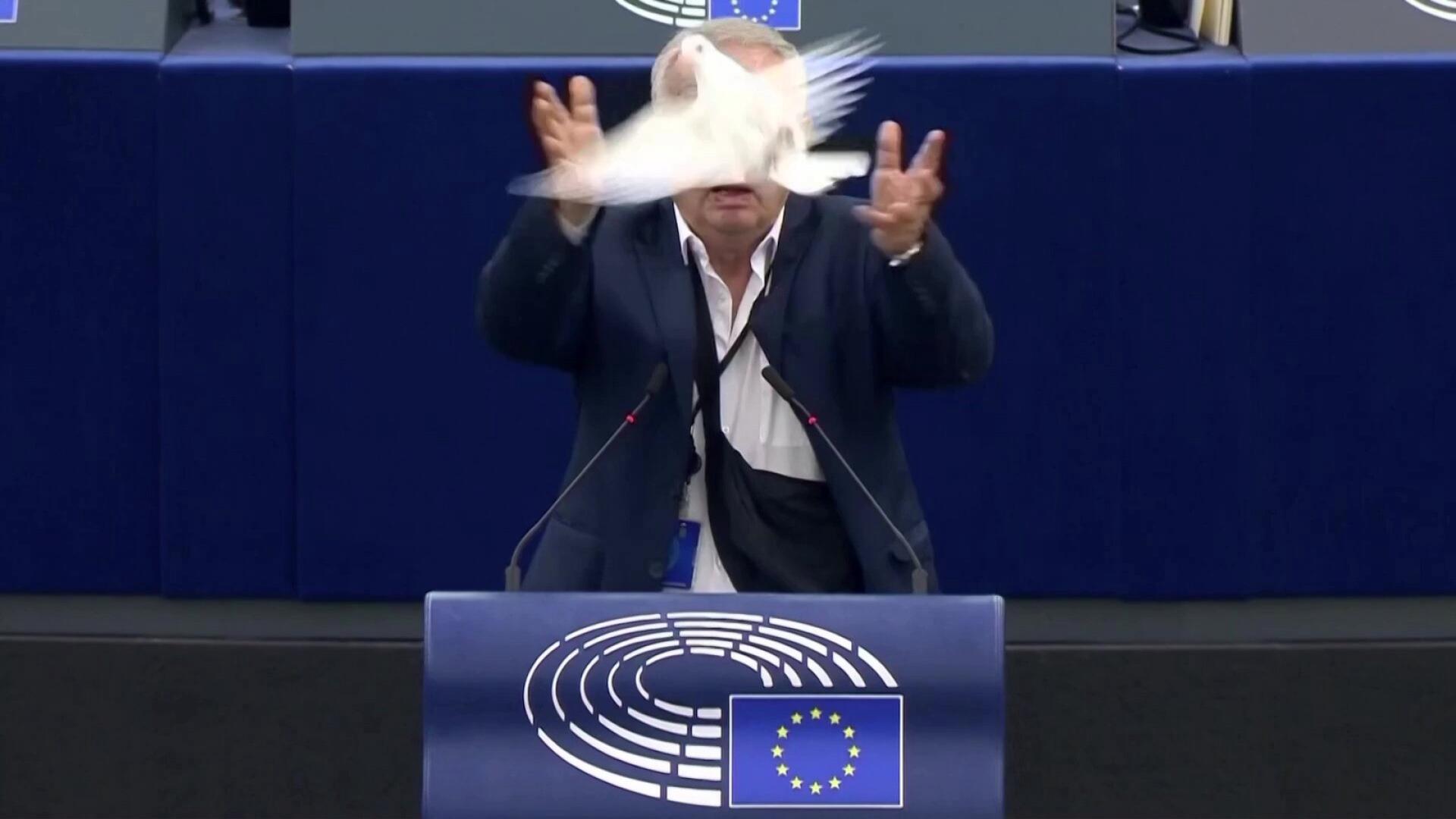 Galambot engedtek el az Európai Parlamentben