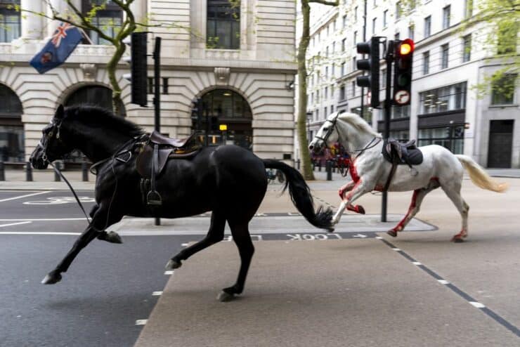 Vérrel borított lovak vágtáztak London utcáin