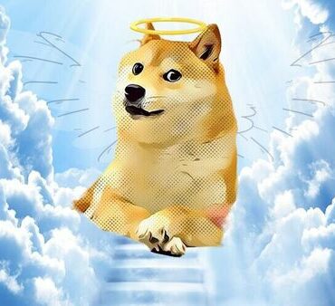 Kabosu, azaz Doge a mennyben - rajongói szerkesztett fotó