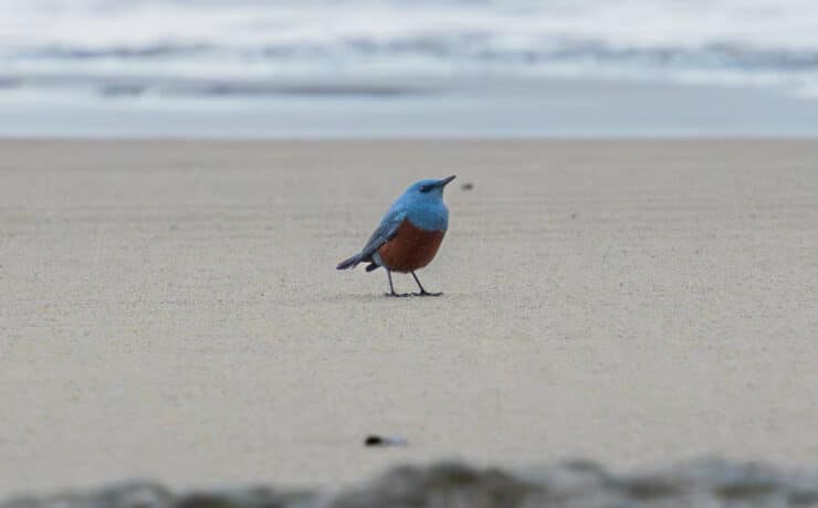 Véletlenül fotózhatott elképesztően ritka madárfajt egy amatőr fotós