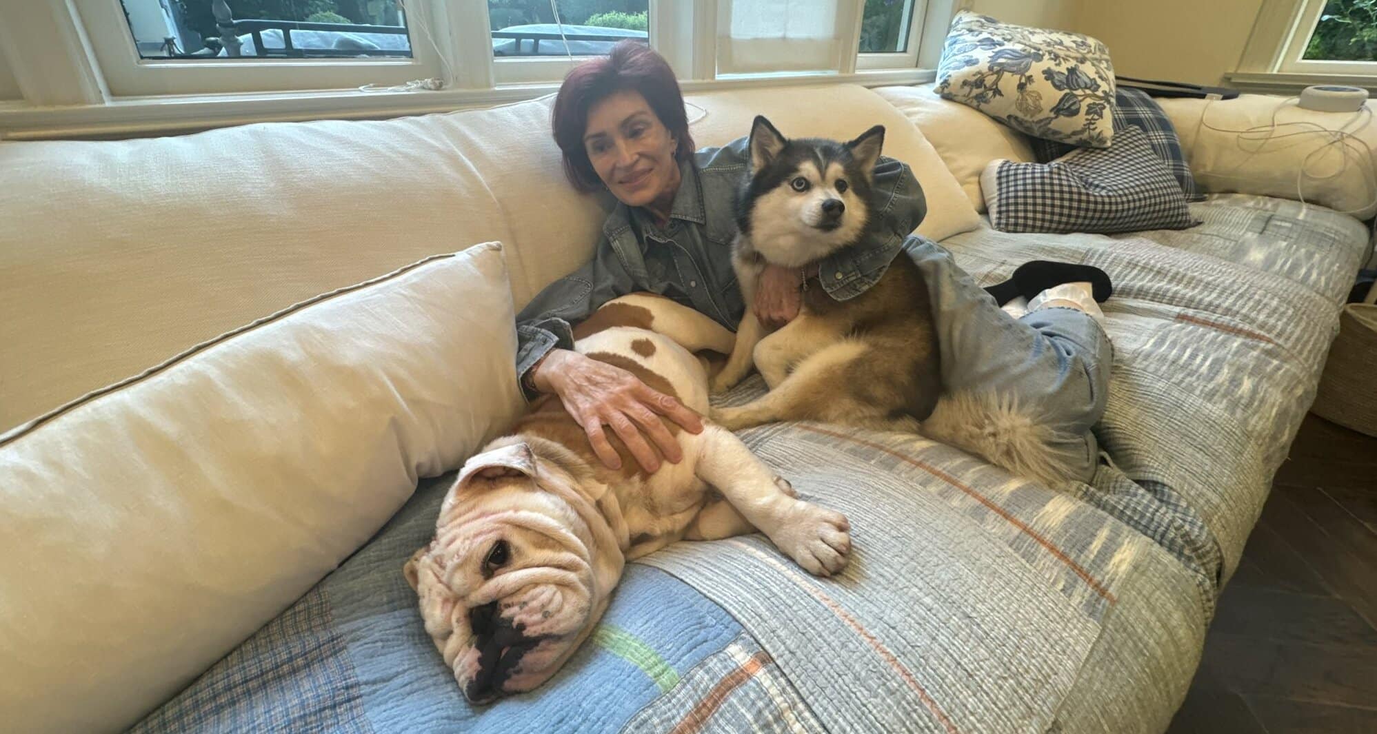 Sharon Osbourne két mentett kutyájával fekszik egy kanapén