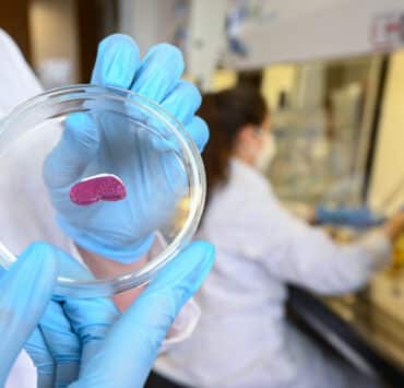 Egy kutató petri csészében mutat be egy laborban előállított, miniatűr húst, amihez nem kellett állatot levágni.