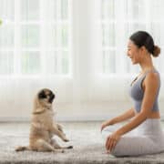 Egy mopsz kutya ül egy szőnyegen nővel szemben, mindketten jóga pozícióban