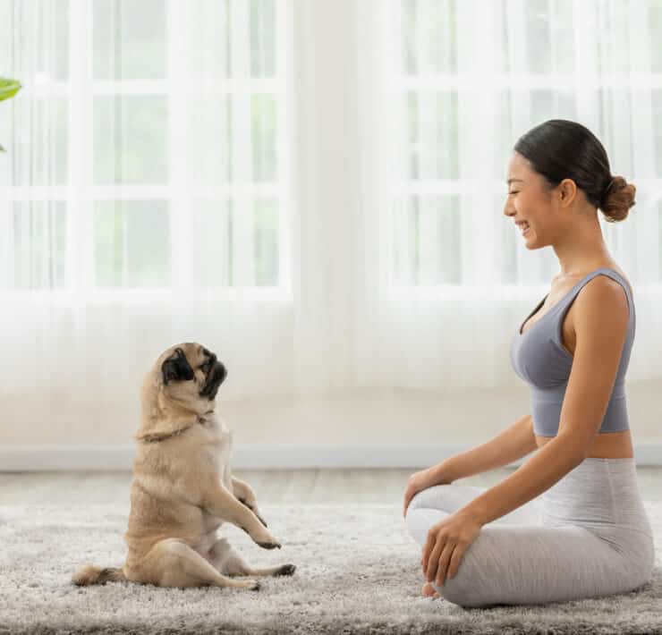 Egy mopsz kutya ül egy szőnyegen nővel szemben, mindketten jóga pozícióban