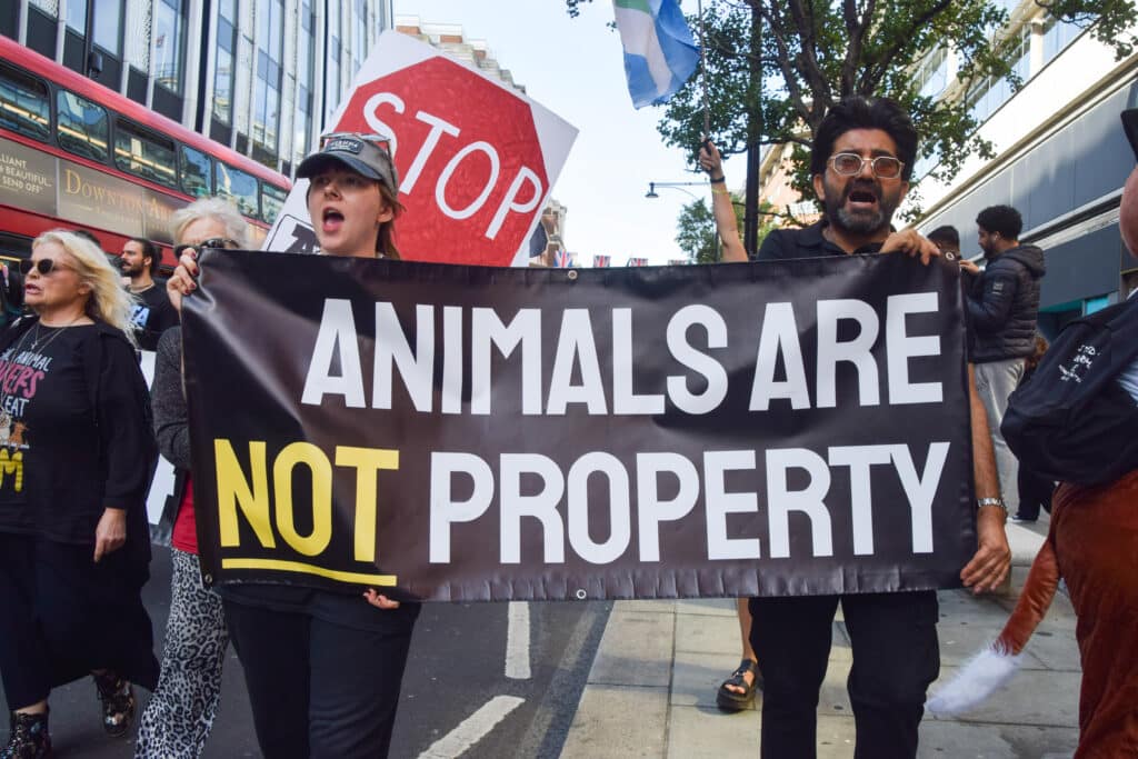 Állatjogi aktivisták tüntetnek transzparensekkel, a képen láthatóra az van írva, az állatok senkinek nem a tulajdonai