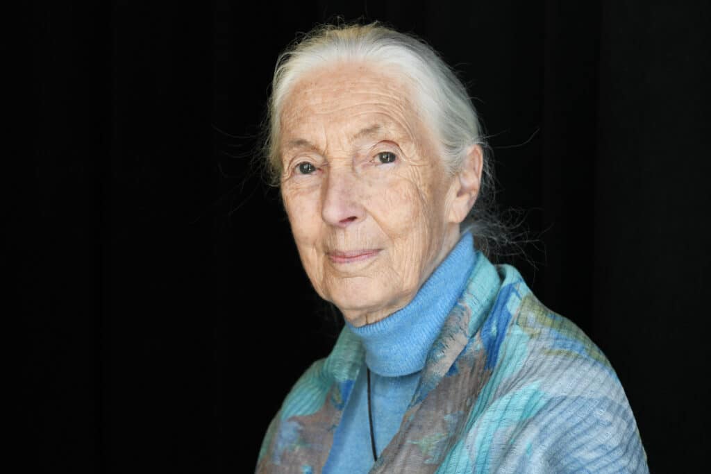 Jane Goodall kék garbóban, vállán egy szürke-kék mintás kendővel mosolyog a kamerába, fekete háttér előtt