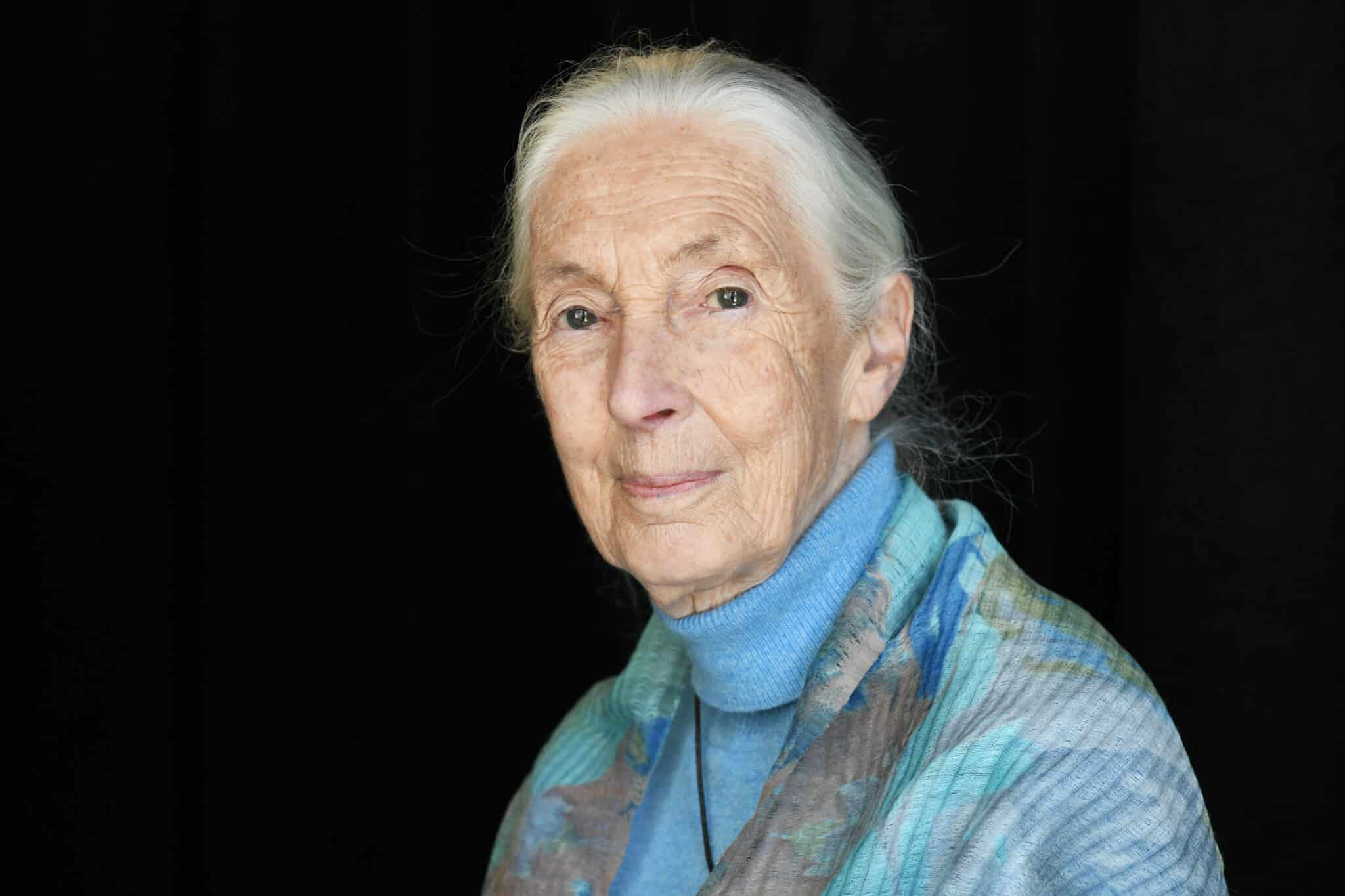 Jane Goodall kék garbóban, vállán egy szürke-kék mintás kendővel mosolyog a kamerába, fekete háttér előtt