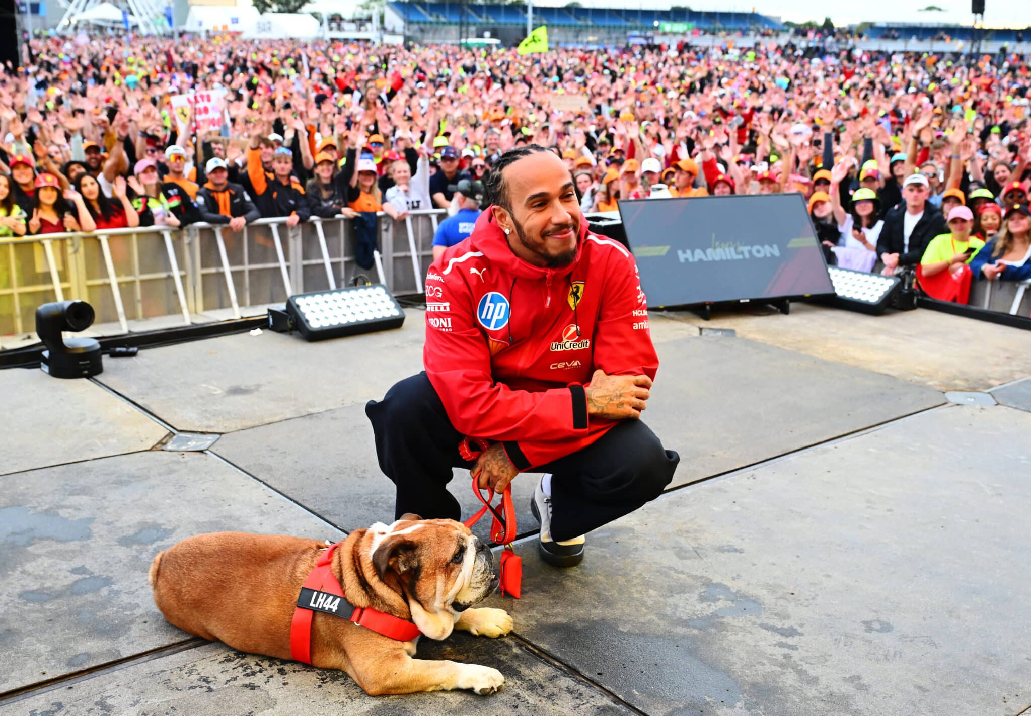Lewis Hamilton ferraris kabátban guggol, mögötte szurkolói tömeg, mellette pedig a kutyája, Roscoe fekszik