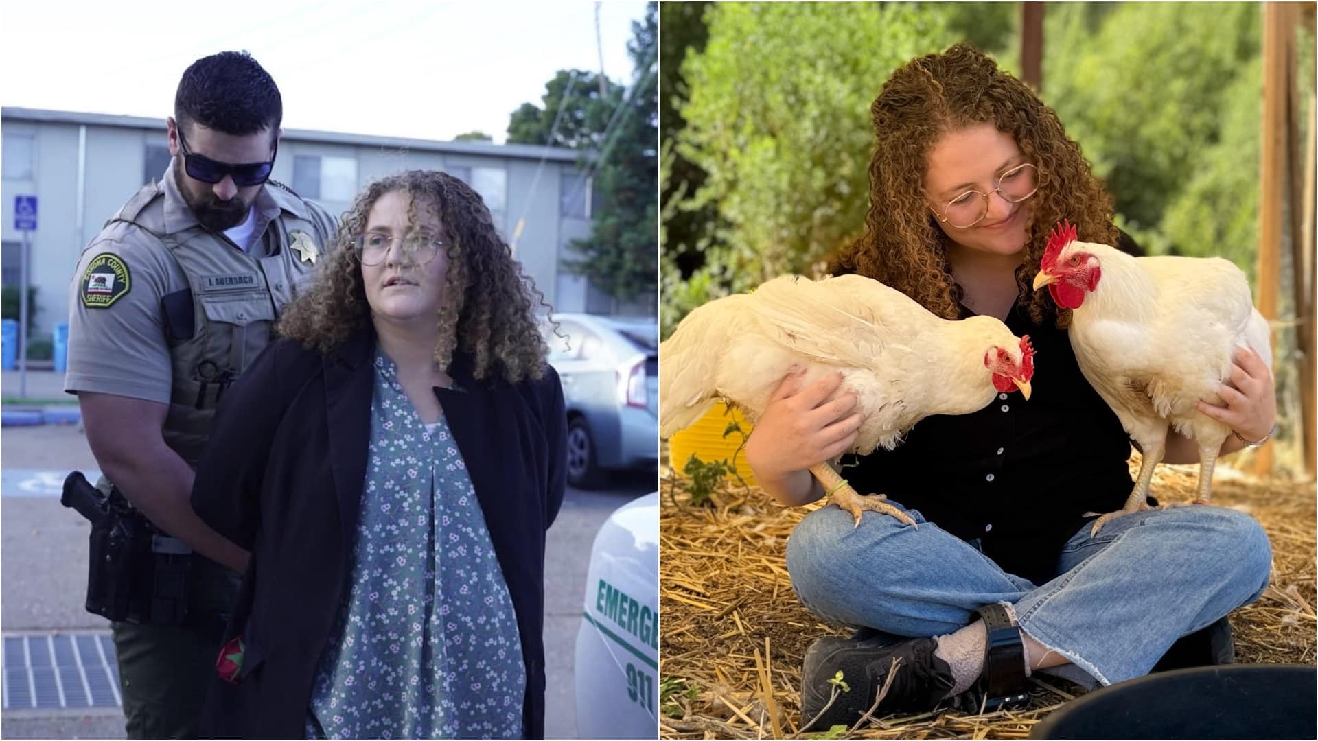 Zoe Rosenberg amerikai aktivista egy kollázson. Az egyik képen hátrabilincselt kézzel halad egy rendőr vezetésével